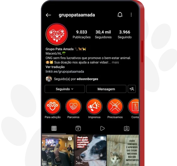 Cães e gatos acolhidos pelo Grupo Pata Amada